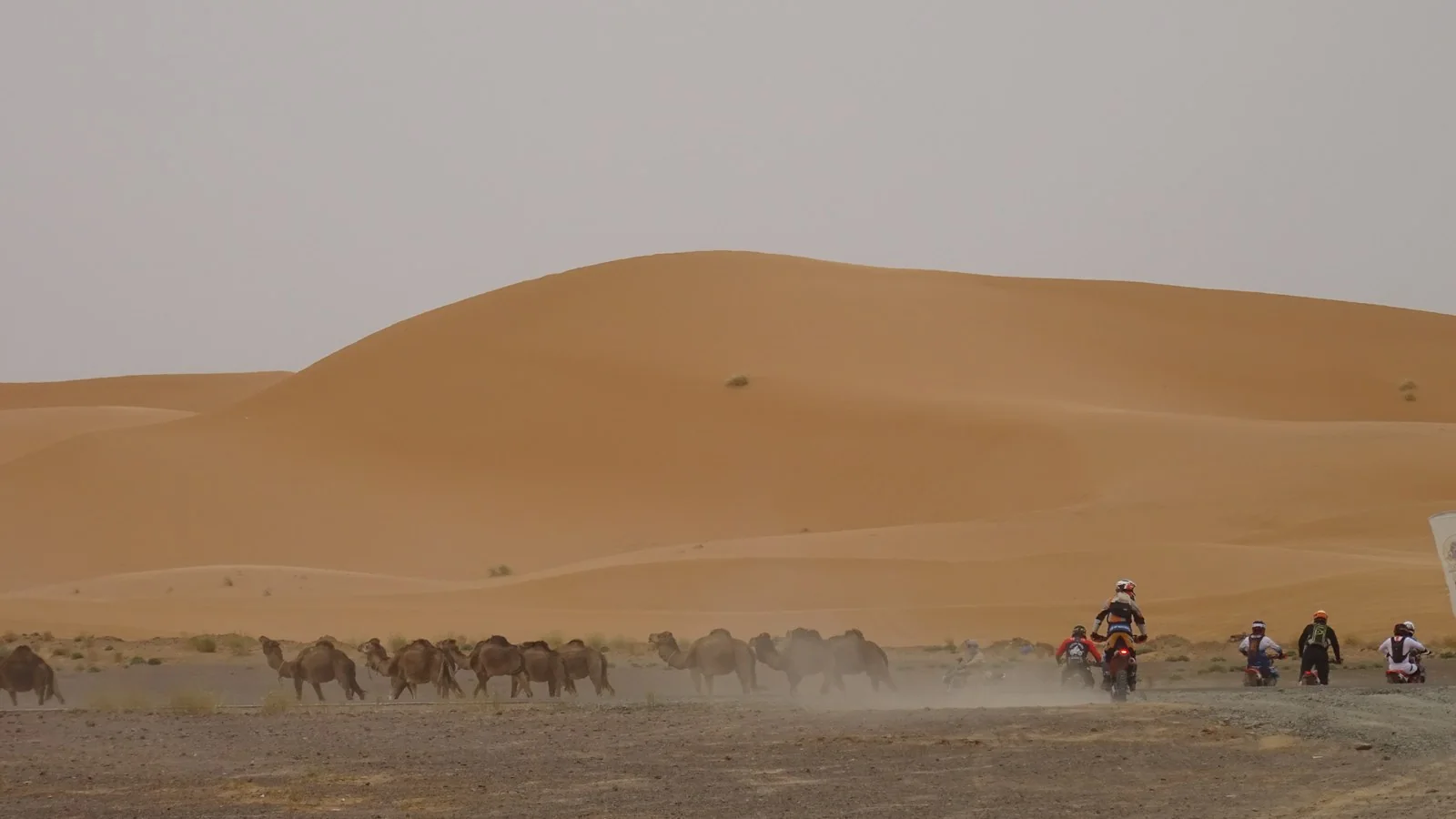 Ruta trail en moto por el desierto de Marruecos